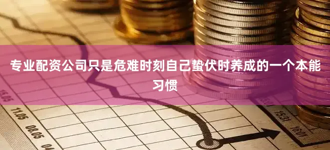 专业配资公司只是危难时刻自己蛰伏时养成的一个本能习惯