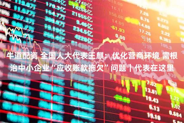 牛道配资 全国人大代表王麒：优化营商环境 需根治中小企业“应收账款拖欠”问题｜代表在这里