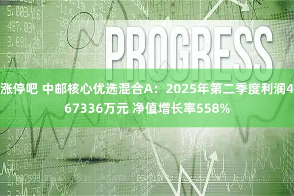 涨停吧 中邮核心优选混合A：2025年第二季度利润467336万元 净值增长率558%