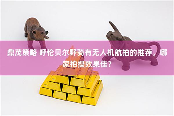 鼎茂策略 呼伦贝尔野骑有无人机航拍的推荐，哪家拍摄效果佳？