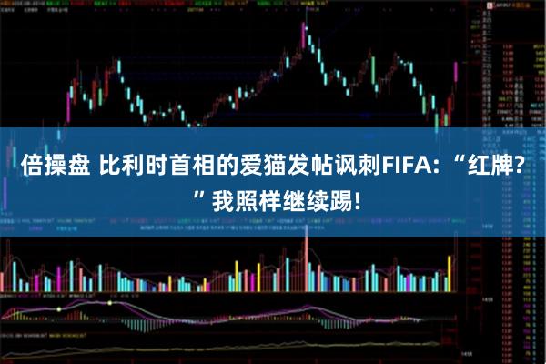 倍操盘 比利时首相的爱猫发帖讽刺FIFA: “红牌? ”我照样继续踢!